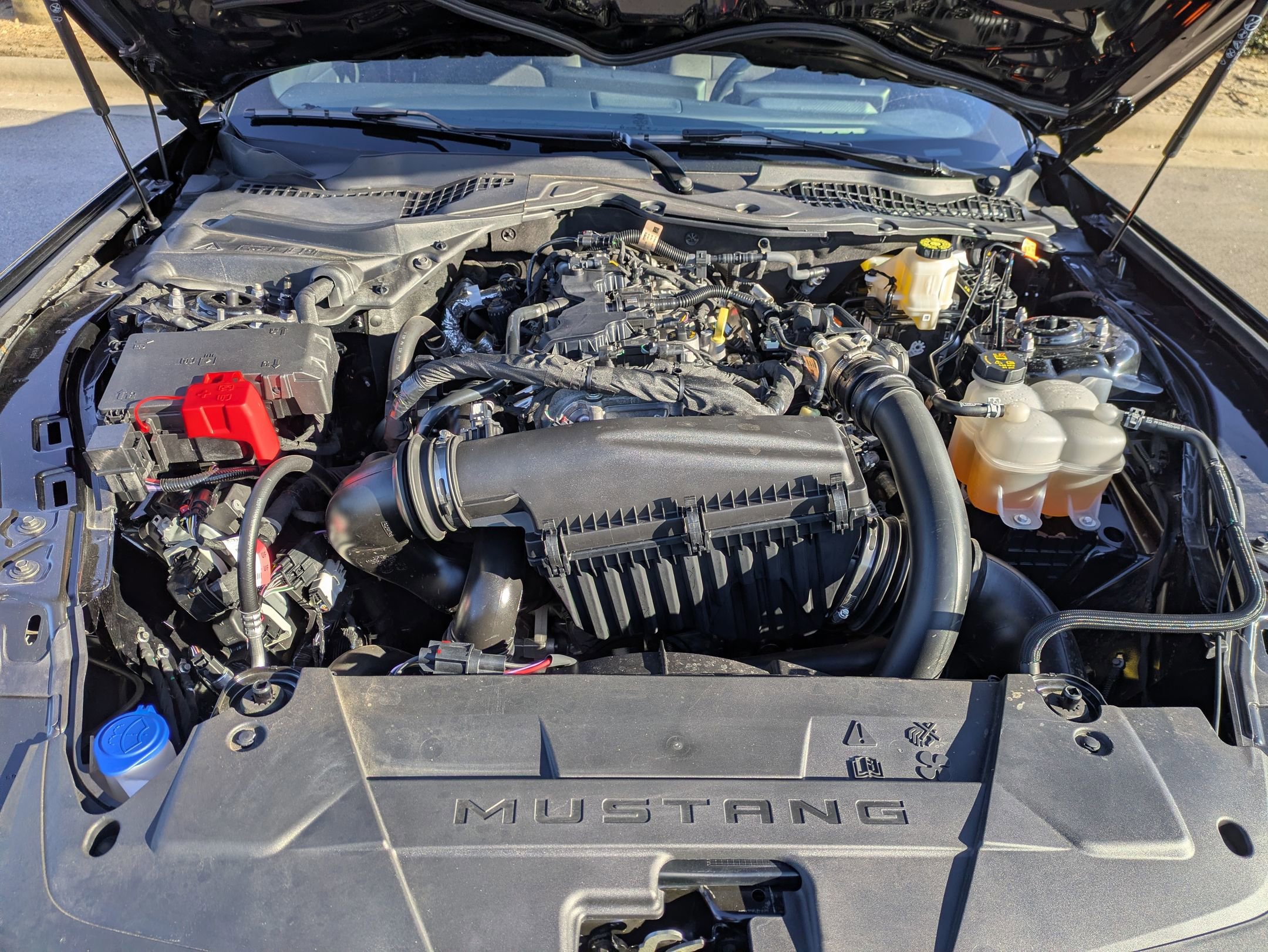 Certified 2024 Ford Mustang Coupe image 35