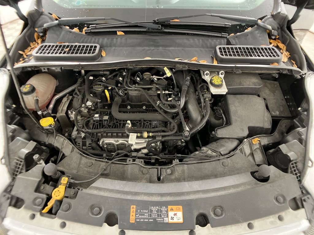 Certified 2019 Ford Escape SE image 31