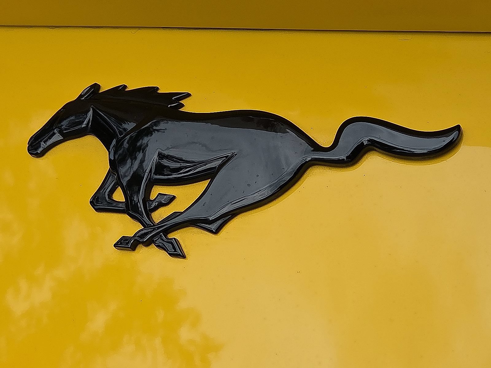 Certified 2024 Ford Mustang Coupe RWD image 9
