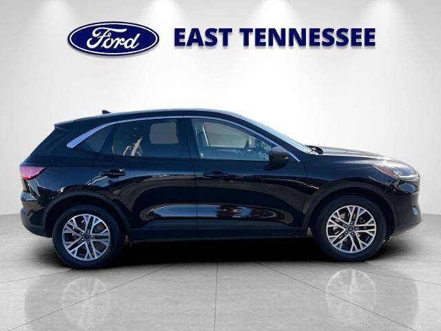 Certified 2022 Ford Escape SEL image 6