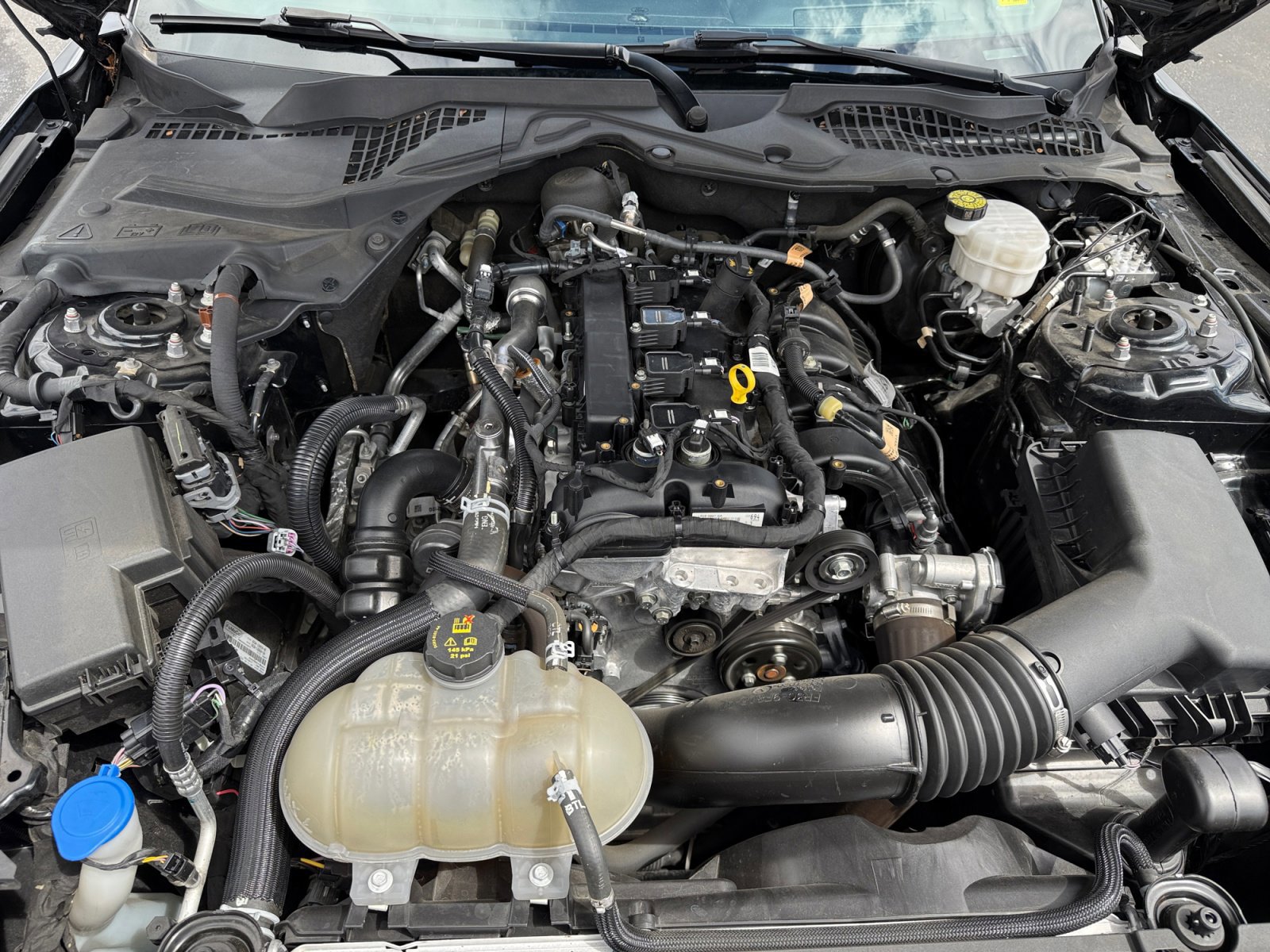 Certified 2022 Ford Mustang Coupe RWD image 20