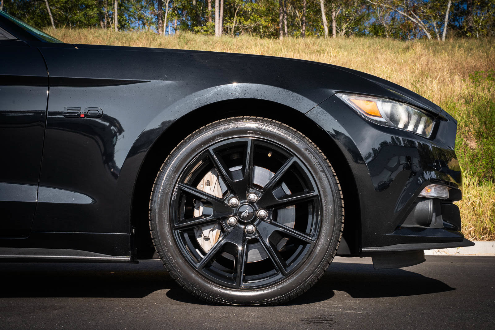 Certified 2017 Ford Mustang GT Premium w/ Equipment Group 401A RWD image 14