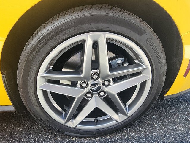 Certified 2024 Ford Mustang GT Premium RWD image 34