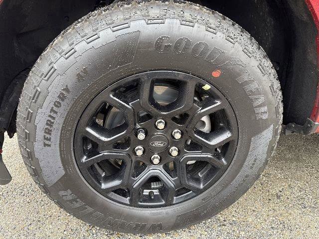 Certified 2024 Ford F150 STX w/ STX Black Appearance Package image 46