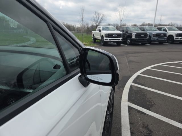 Used 2024 Kia Carnival SX Prestige image 10