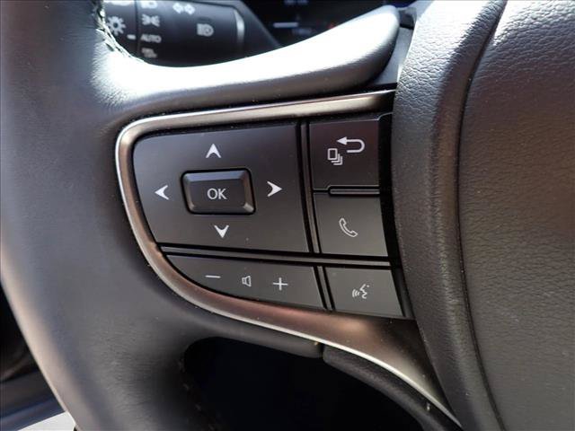 Used 2025 Lexus UX 300h AWD w/ Cold Area Package image 19