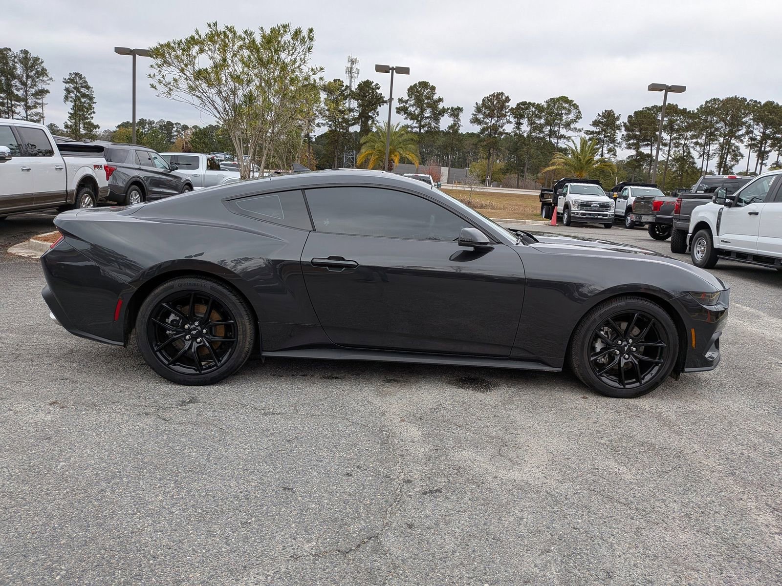 Certified 2024 Ford Mustang Premium image 3