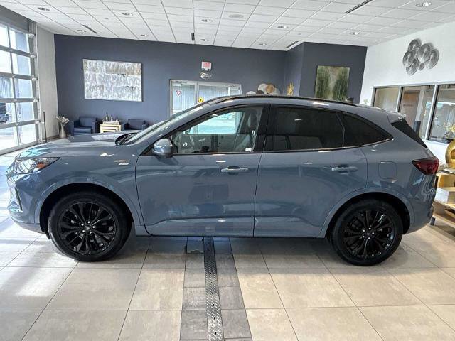 Certified 2025 Ford Escape ST-Line Elite w/ Premium Technology Package AWD/4WD image 6