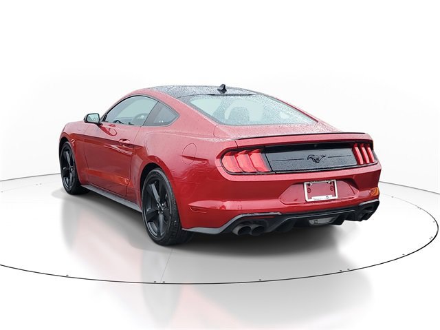 Certified 2023 Ford Mustang Premium image 2