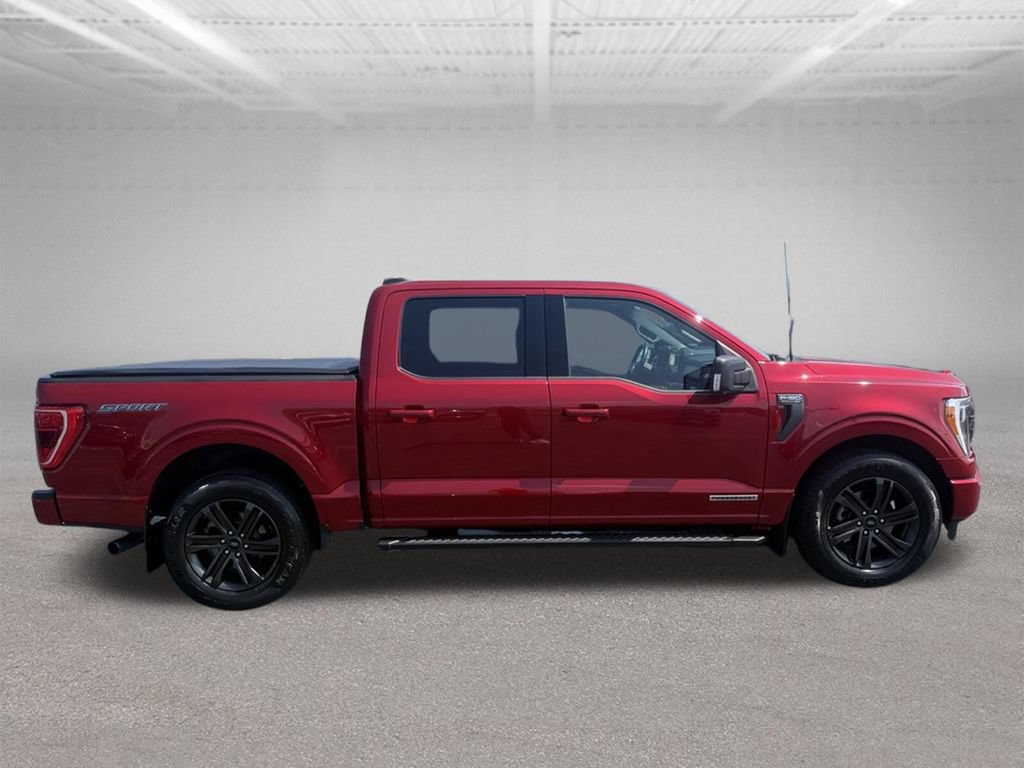 Certified 2021 Ford F150 XLT w/ Equipment Group 302A High RWD image 3