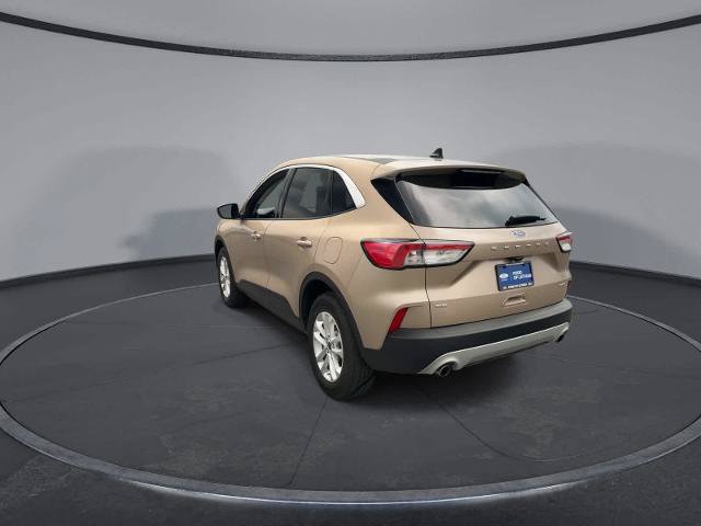 Certified 2021 Ford Escape SE w/ Cold Weather Package AWD/4WD image 6
