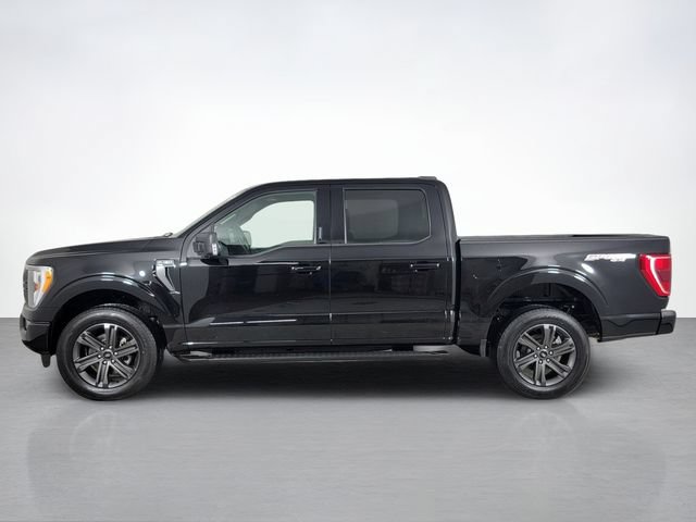 Certified 2023 Ford F150 XLT w/ Equipment Group 302A High AWD/4WD image 6