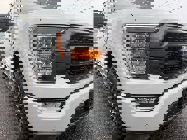 Certified 2023 Ford F150 XLT w/ Equipment Group 302A High image 8