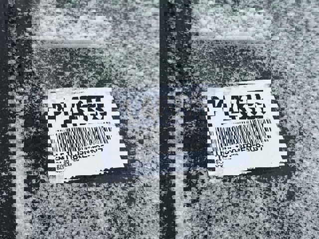 Certified 2024 Ford Expedition XLT image 3