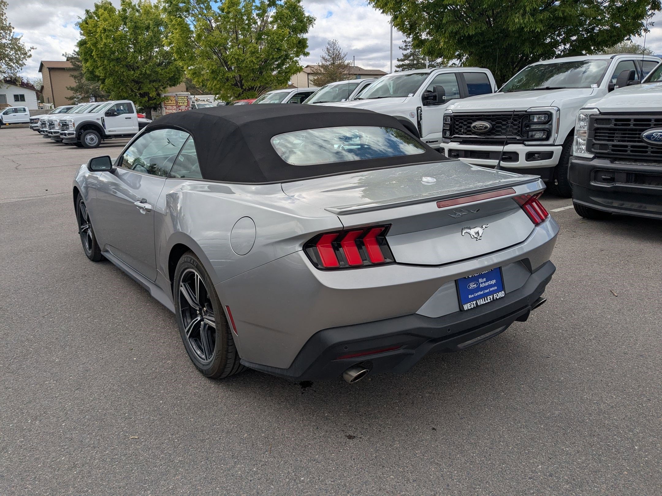 Certified 2025 Ford Mustang Premium RWD image 10