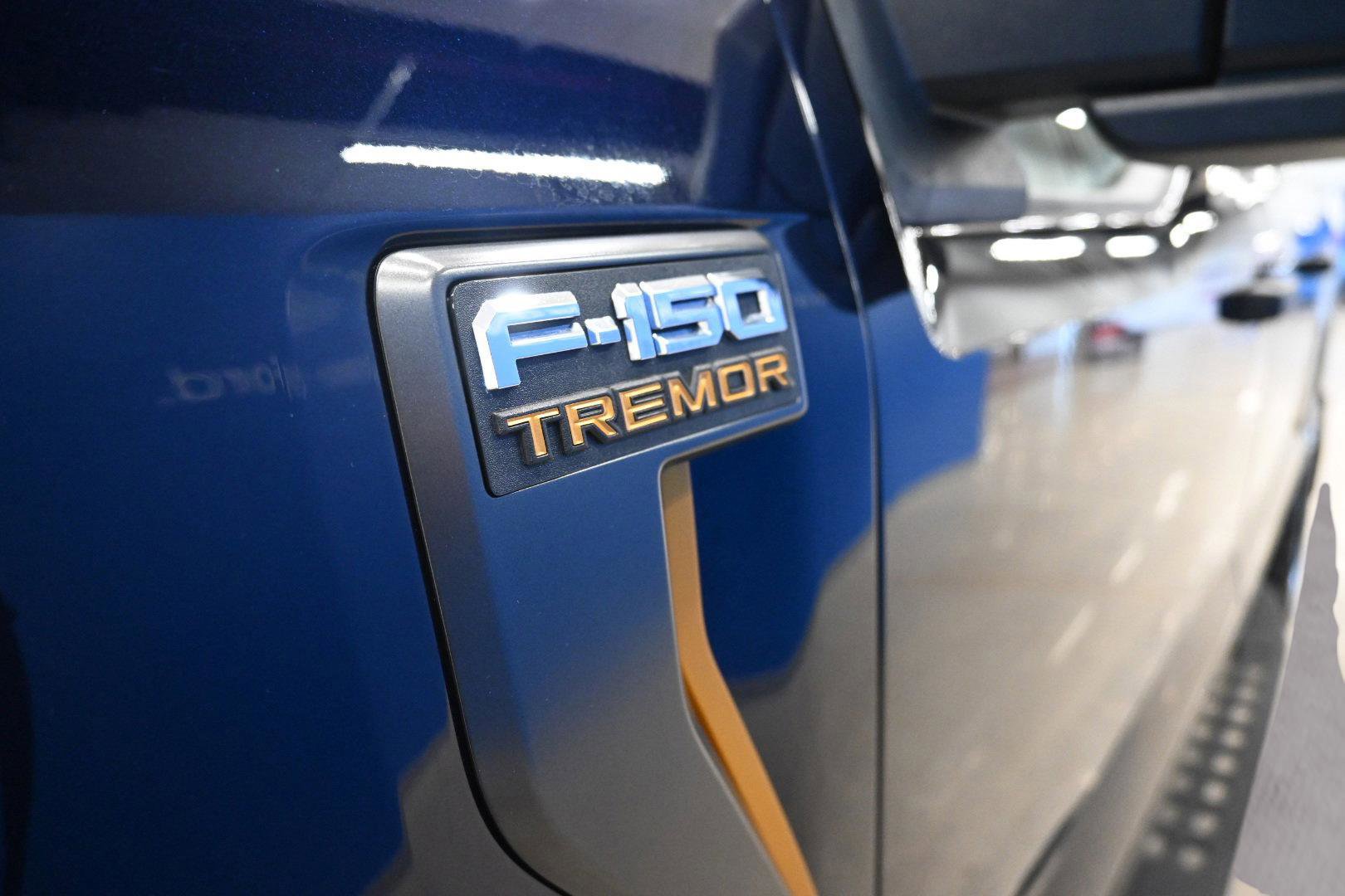 Certified 2022 Ford F150 Tremor image 9