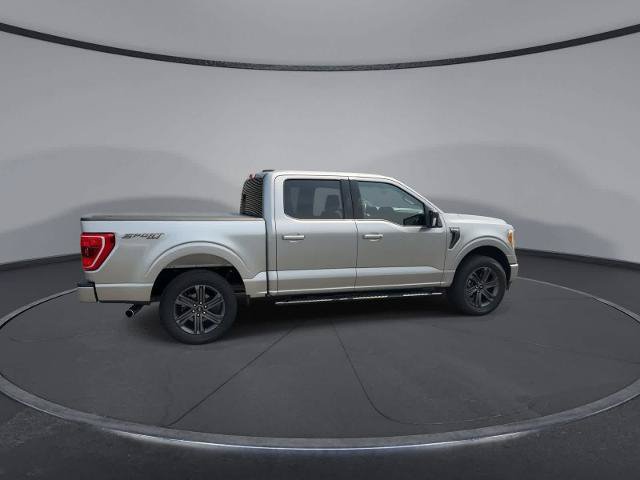 Certified 2023 Ford F150 XLT w/ Equipment Group 302A High AWD/4WD image 8