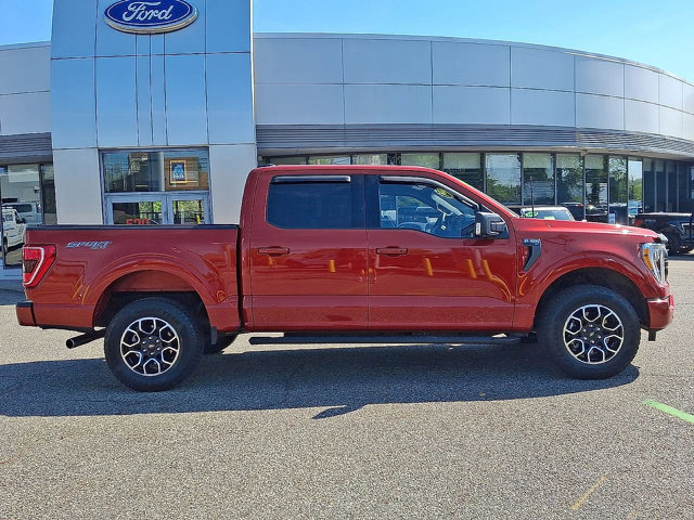Certified 2023 Ford F150 XLT w/ Equipment Group 302A High AWD/4WD image 6