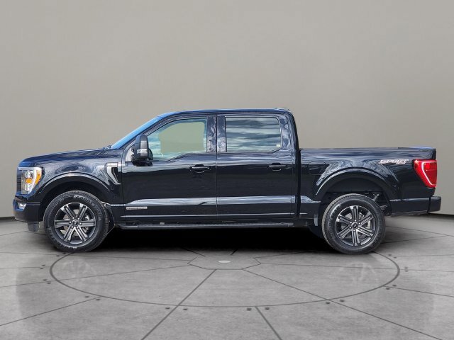 Certified 2023 Ford F150 XLT w/ Equipment Group 302A High AWD/4WD image 9