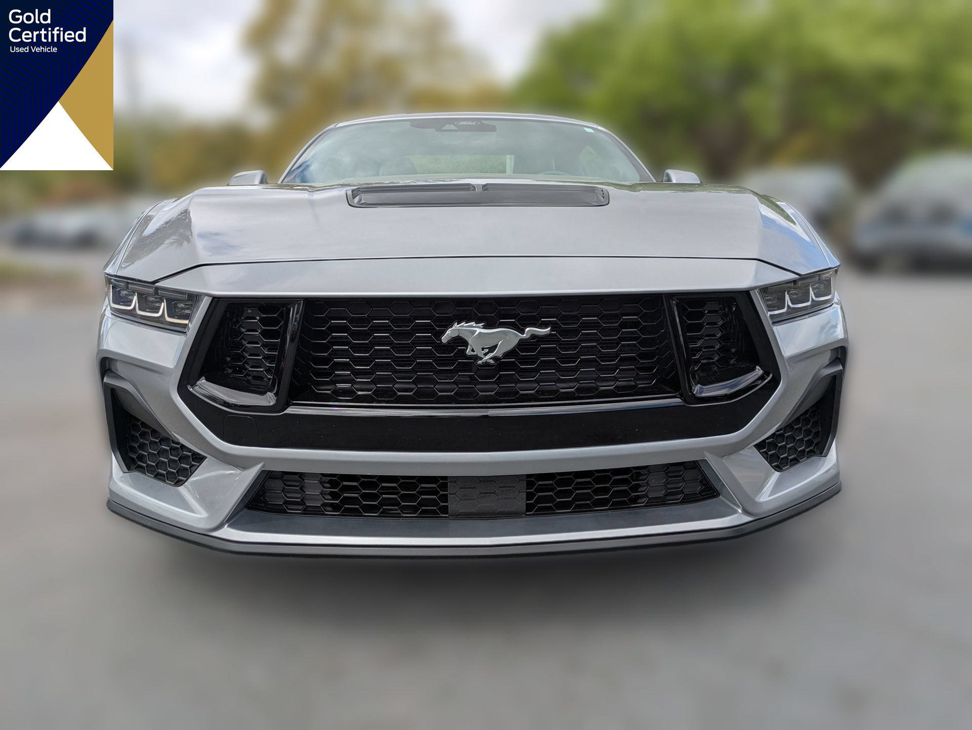 Certified 2024 Ford Mustang GT Premium RWD image 12