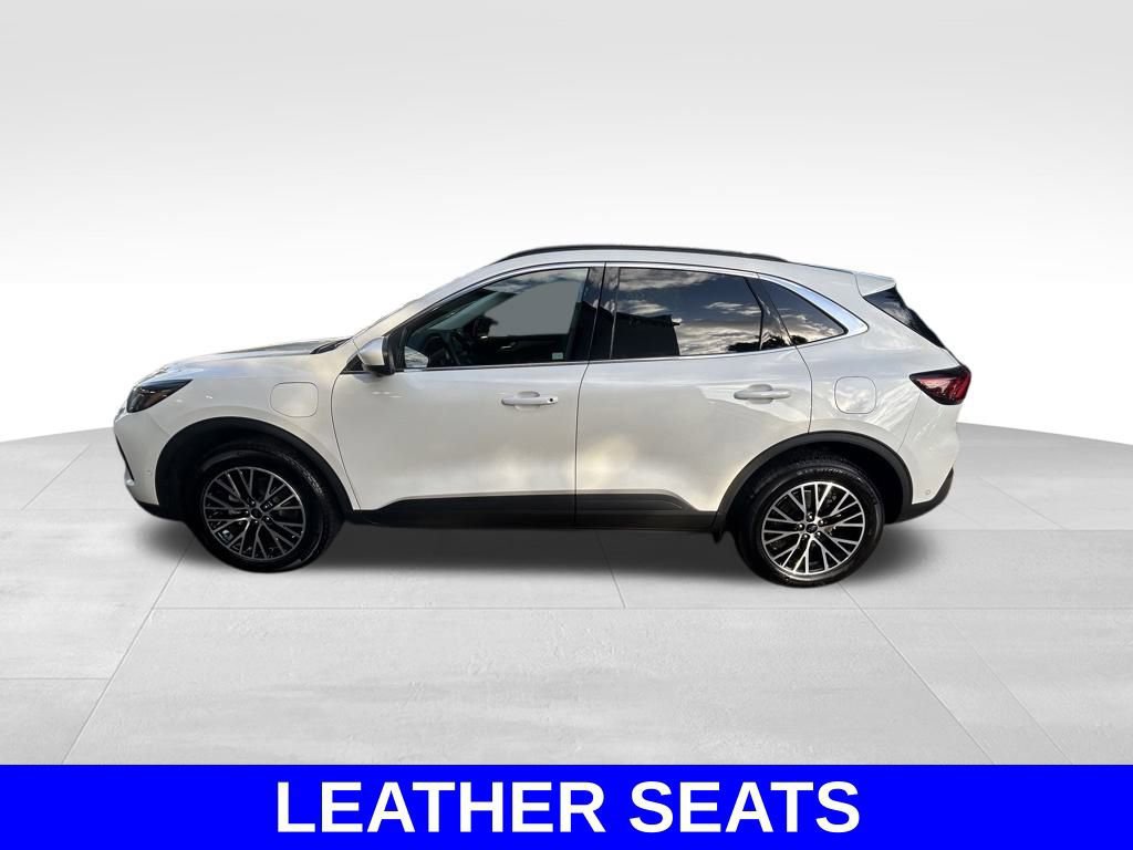 Certified 2024 Ford Escape SE w/ PHEV Premium Package FWD image 6