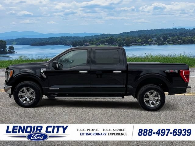 Certified 2023 Ford F150 XLT w/ Equipment Group 302A High AWD/4WD image 6