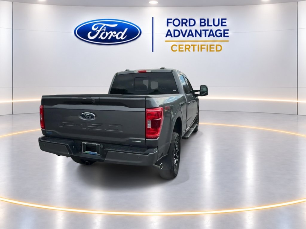 Certified 2023 Ford F150 XLT w/ Equipment Group 302A High AWD/4WD image 10