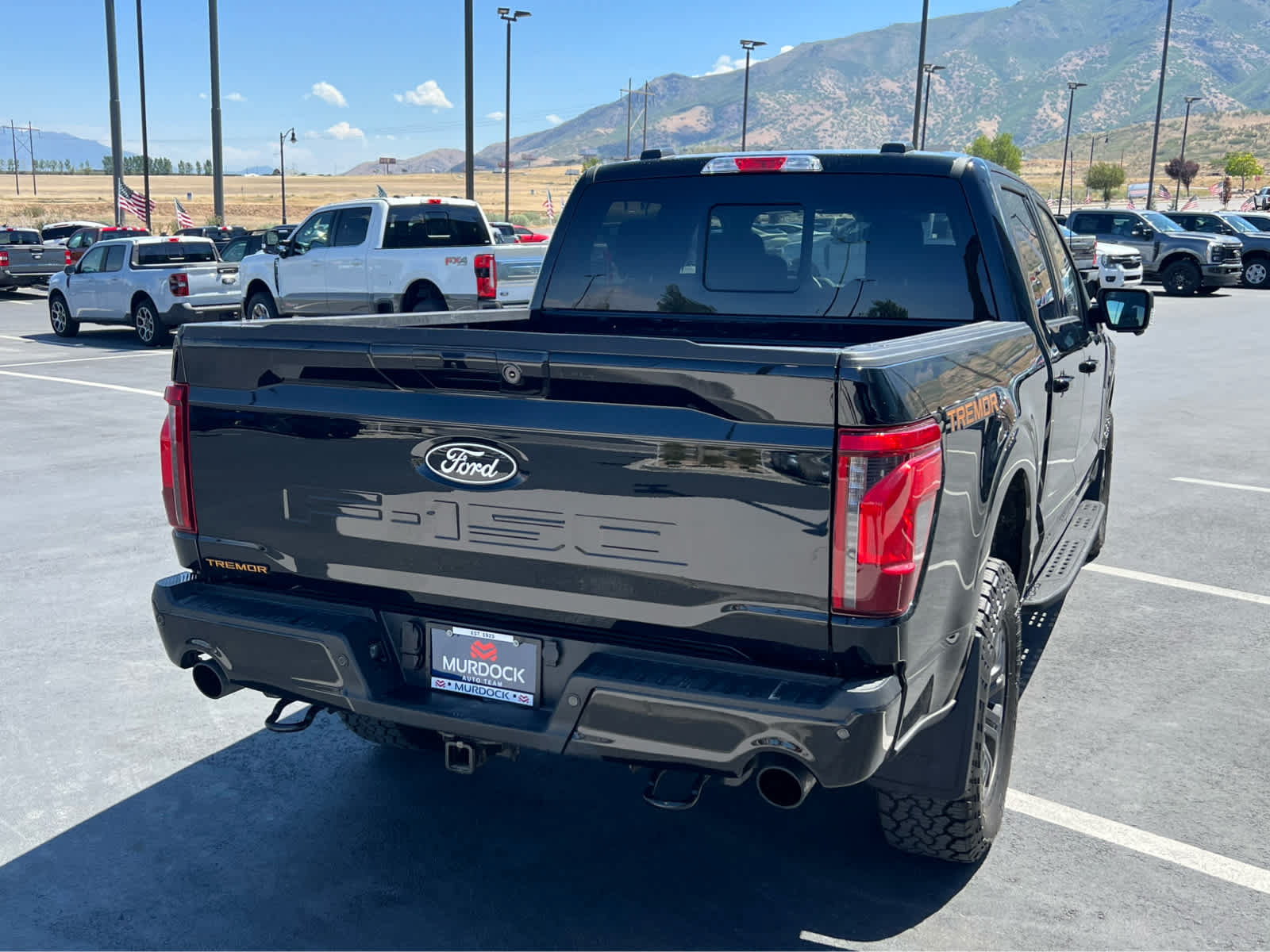 Certified 2025 Ford F150 Tremor AWD/4WD image 8