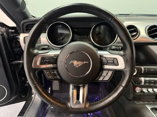 Certified 2023 Ford Mustang GT Premium w/ Mustang Nite Pony Package RWD image 22