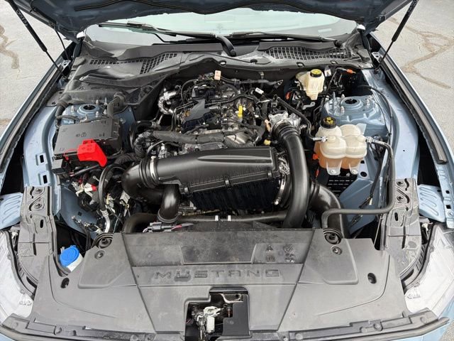 Certified 2024 Ford Mustang Coupe image 10