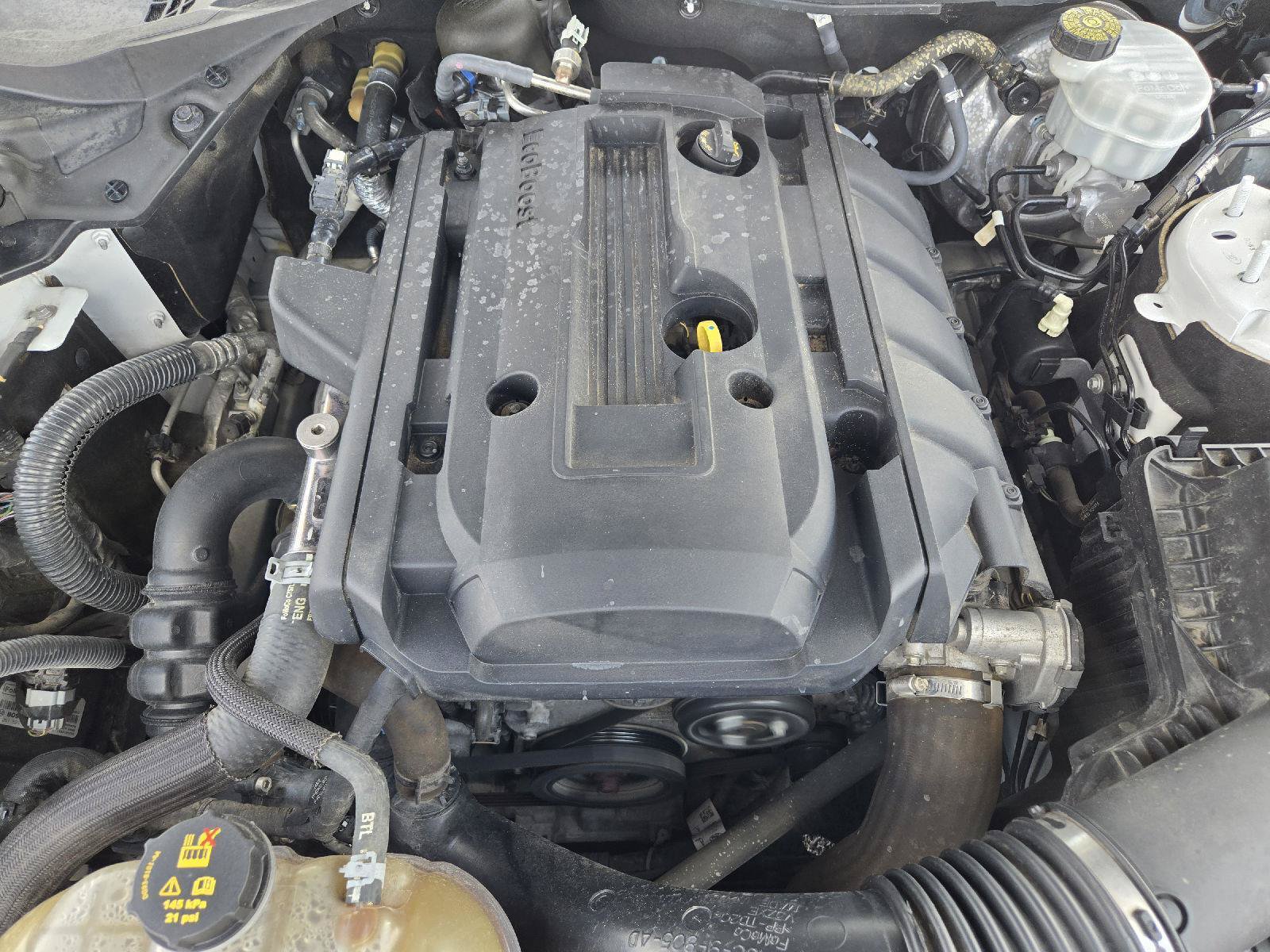 Certified 2019 Ford Mustang Coupe RWD image 30