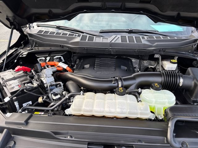 Certified 2023 Ford F150 XLT w/ Equipment Group 302A High AWD/4WD image 24