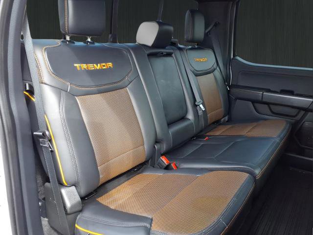 Certified 2025 Ford F150 Tremor w/ Equipment Group 402A High image 17