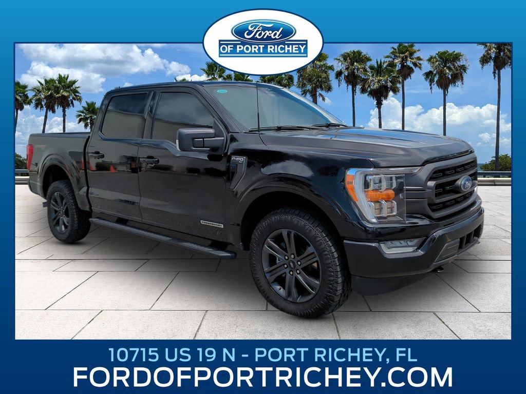 Certified 2023 Ford F150 XLT w/ Equipment Group 302A High