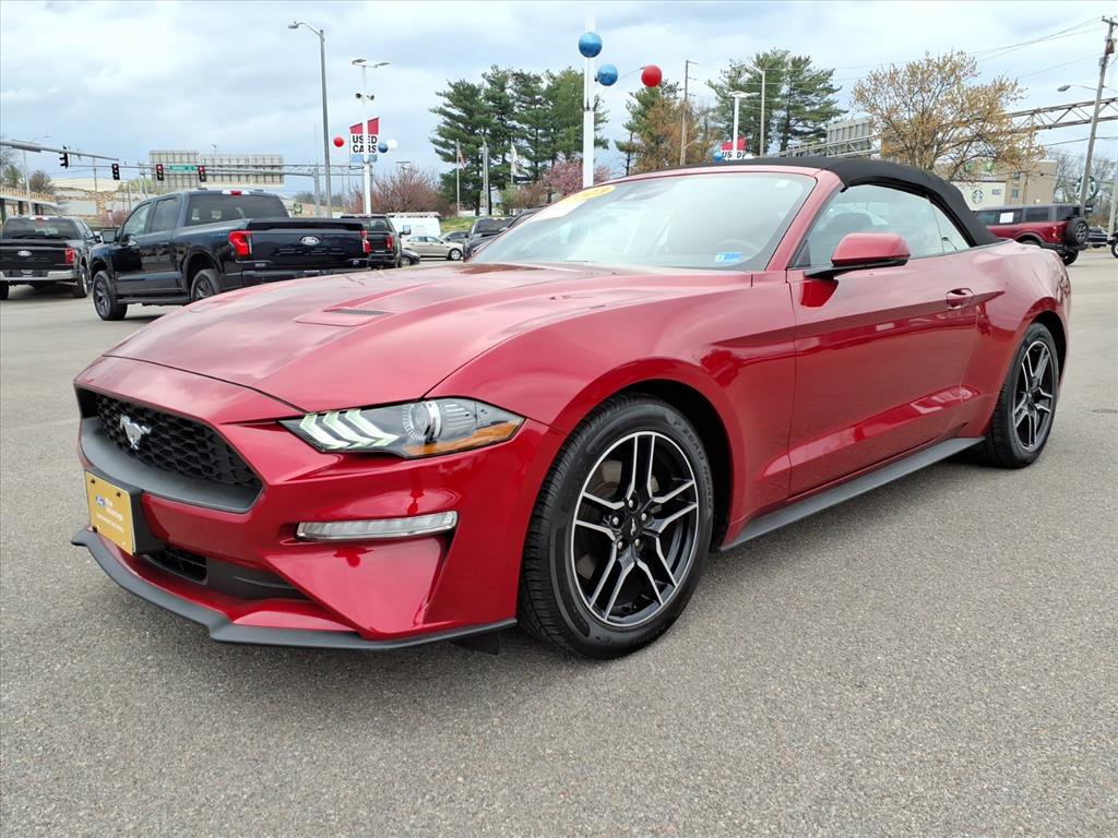 Certified 2023 Ford Mustang Premium w/ Equipment Group 201A image 1