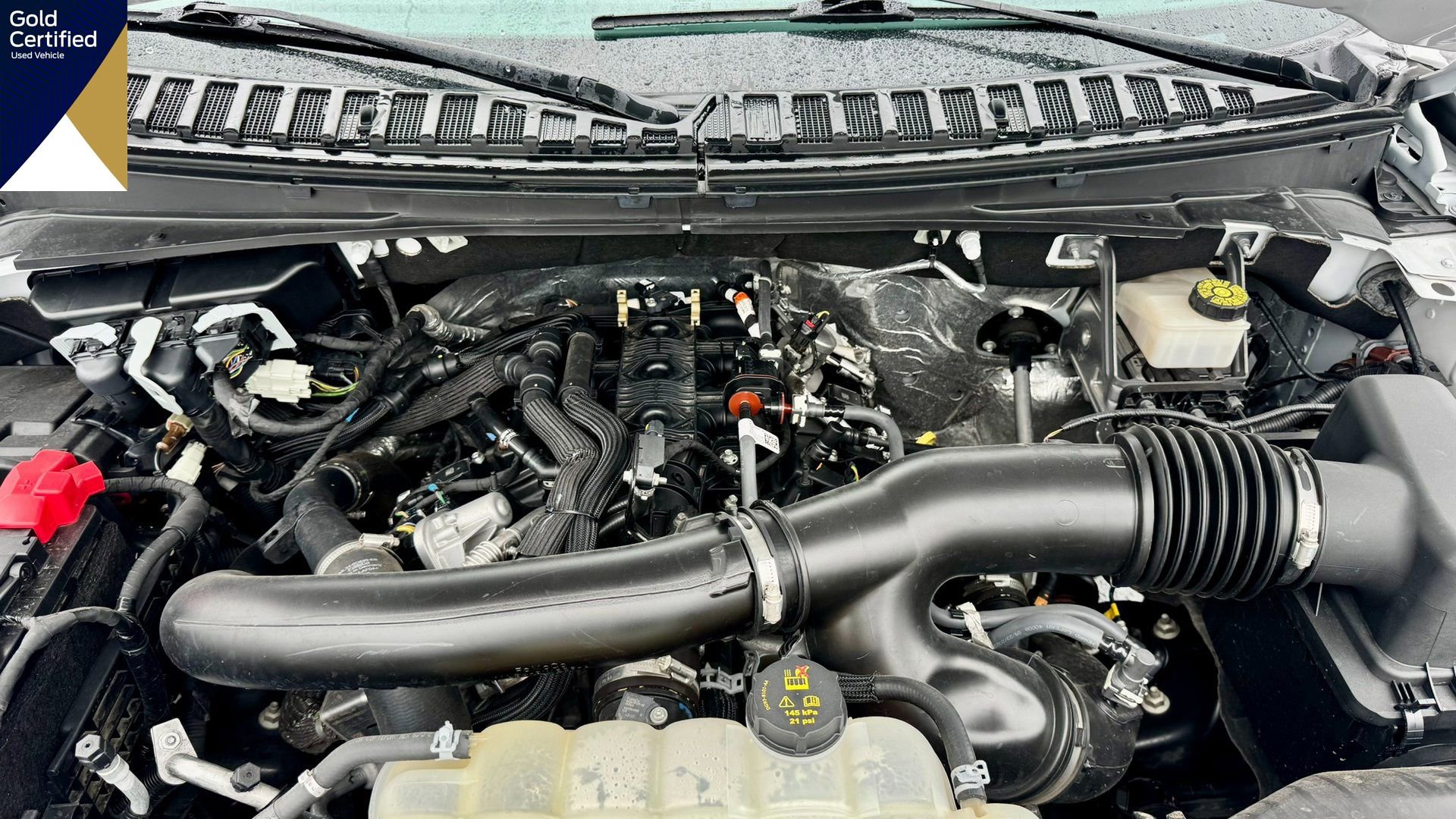 Certified 2024 Ford Expedition Limited image 22