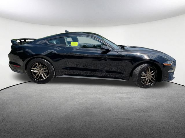 Certified 2023 Ford Mustang GT Premium w/ Mustang Nite Pony Package RWD image 14