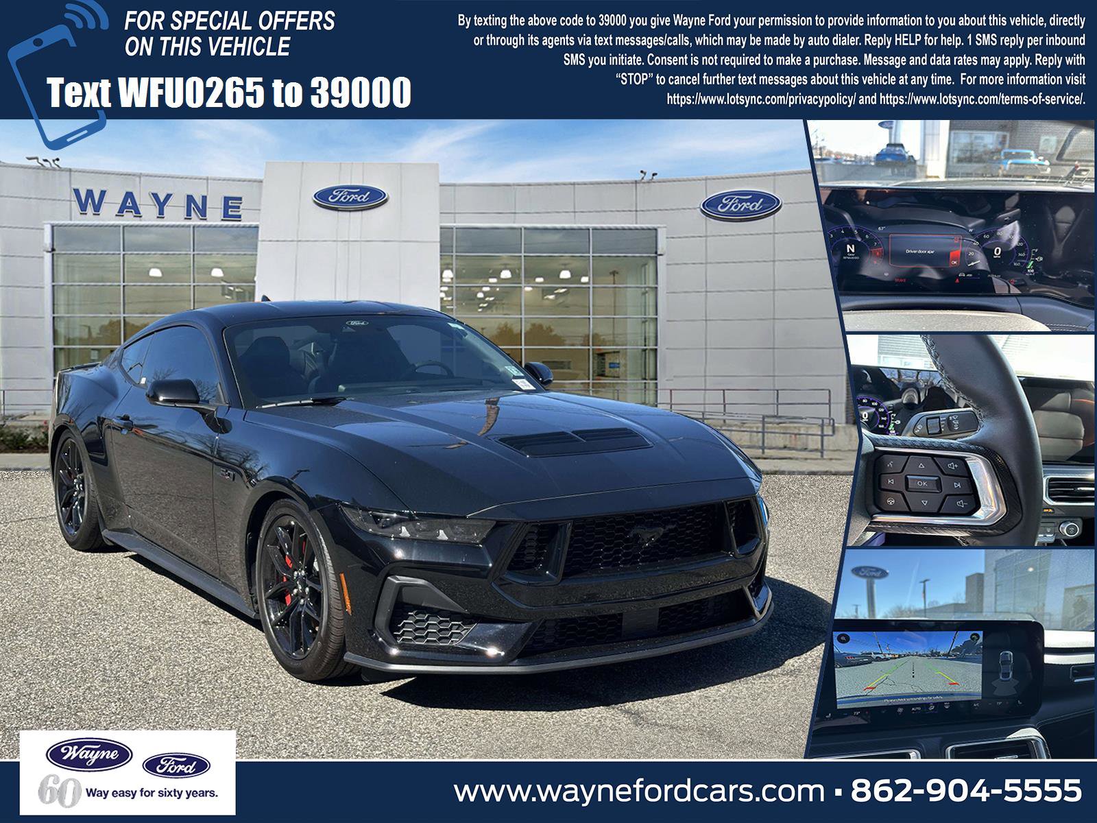 Certified 2025 Ford Mustang GT Premium w/ Mustang Nite Pony Package image 1
