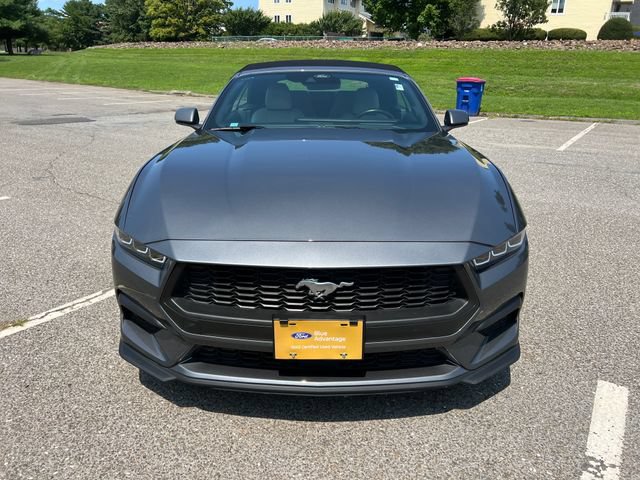 Certified 2024 Ford Mustang Premium w/ 2.3L High Performance Package RWD image 3