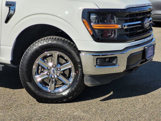 Certified 2025 Ford F150 XLT w/ Equipment Group 301A Standard image 6