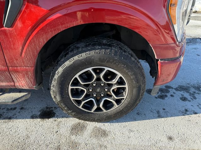 Certified 2023 Ford F150 XLT w/ Equipment Group 302A High AWD/4WD image 35