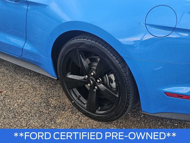 Certified 2023 Ford Mustang GT w/ Equipment Group 301A RWD image 8