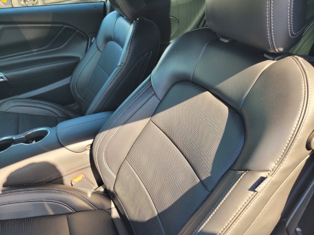 Certified 2024 Ford Mustang Premium RWD image 13