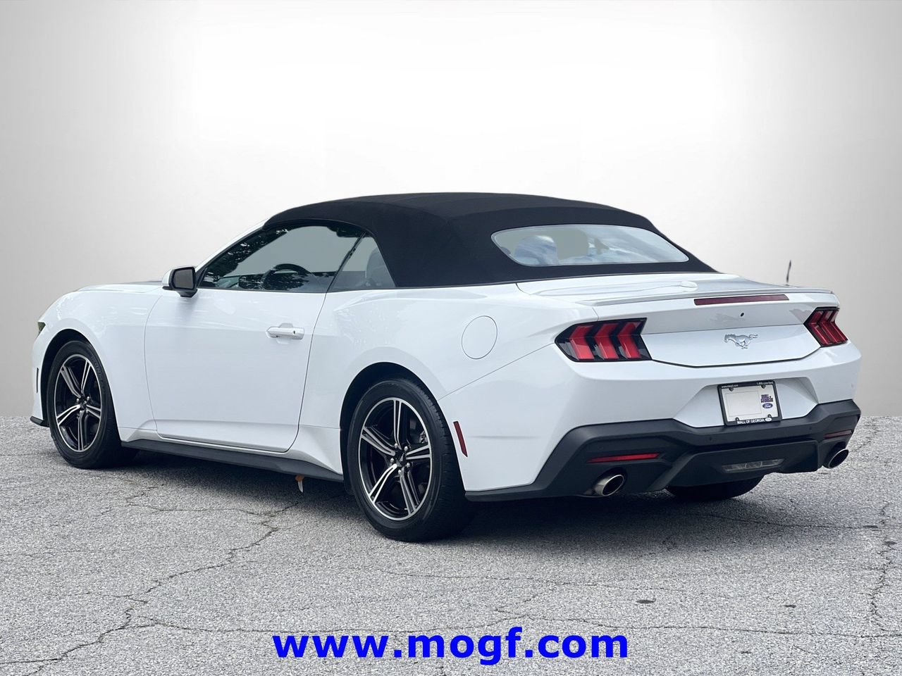 Certified 2024 Ford Mustang Premium RWD image 2