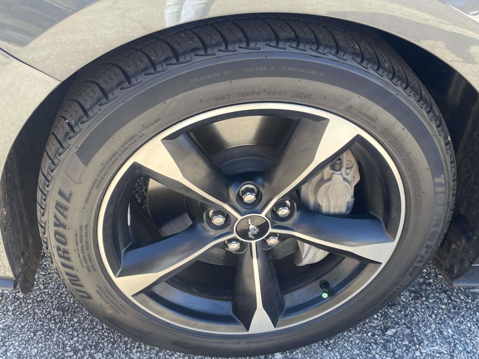 Certified 2019 Ford Mustang GT w/ Equipment Group 301A image 10