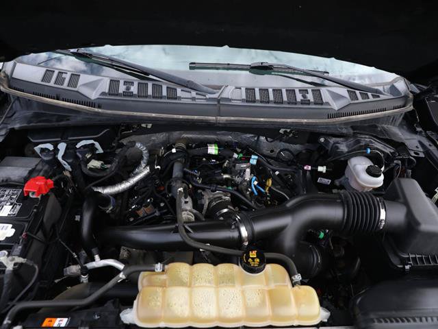 Certified 2019 Ford F150 XLT w/ Equipment Group 302A Luxury AWD/4WD image 5