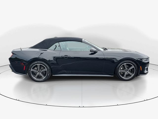 Certified 2024 Ford Mustang Premium RWD image 3
