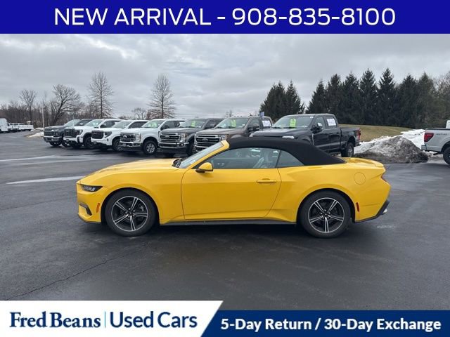 Certified 2024 Ford Mustang Premium image 4