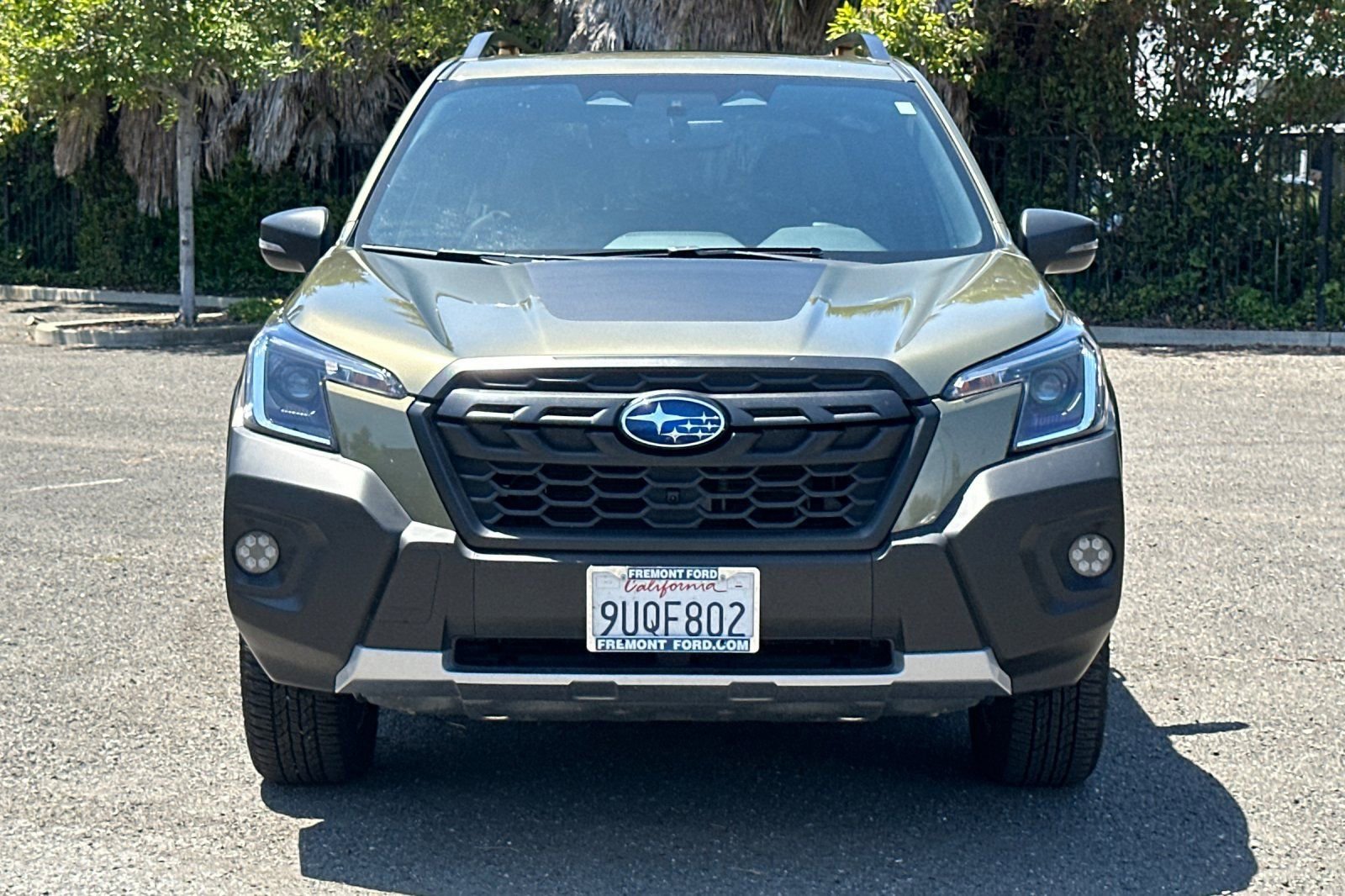 Used 2025 Subaru Forester Wilderness AWD/4WD image 9