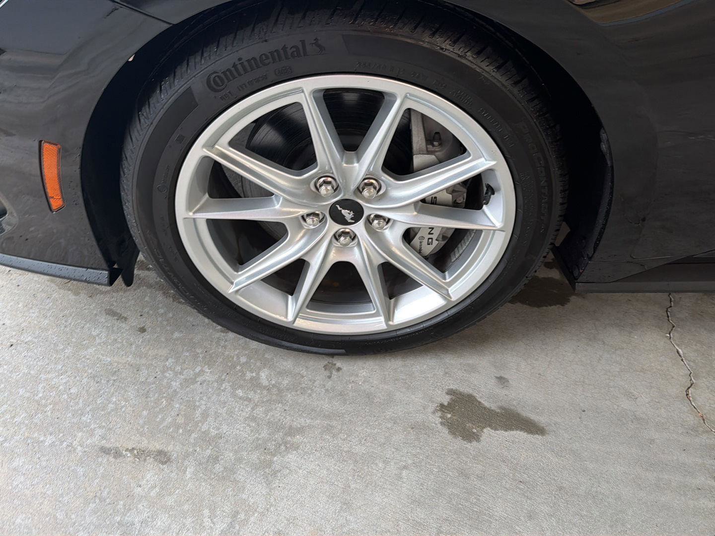 Certified 2024 Ford Mustang GT Premium RWD image 30